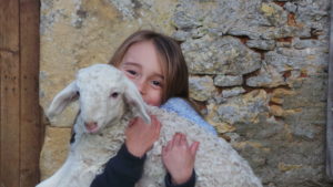 la ferme de agneau enfant la fouliouze dordogne perigord