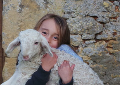 la ferme de agneau enfant la fouliouze dordogne perigord
