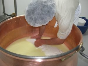 Fabrication du Fromage de Fouliouze